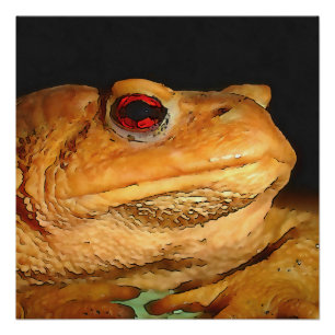 Gemeinsamer Europäischer Toad Bufo Bufo Schwarze K Poster