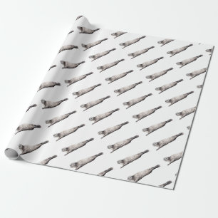Gemeinsamer Seehund vitulina Phoca Geschenkpapier