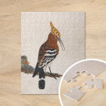 Gemeinsames Hoopoe | William Lewin<br><div class="desc">Gemeinsames Parlament (vor 1790) | William Lewins Common Hoopoe ist eine elegante und detaillierte Darstellung eines Hopoevogels, der auf einem Ast auf einem minimalistischen neutralen Hintergrund steht. Das Gemälde hebt das unverwechselbare Wappen des Vogels hervor und zeichnet mit bemerkenswerter Präzision aus, was seine einzigartige Schönheit unterstreicht. Die Einfachheit des Hintergrundes...</div>