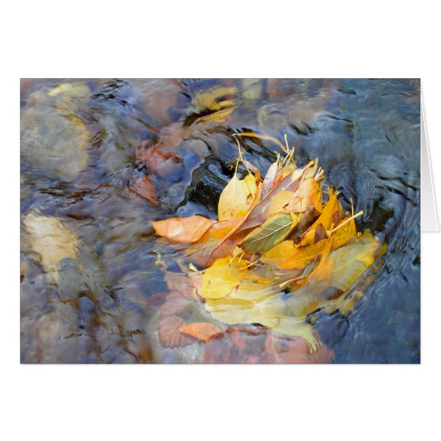 Gemeinschaft von Cynthia Wenslow (Vorderseite (Horizontal))