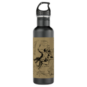 Gemini Constellation Hevelius 1690 Mai12-Juni20 Edelstahlflasche