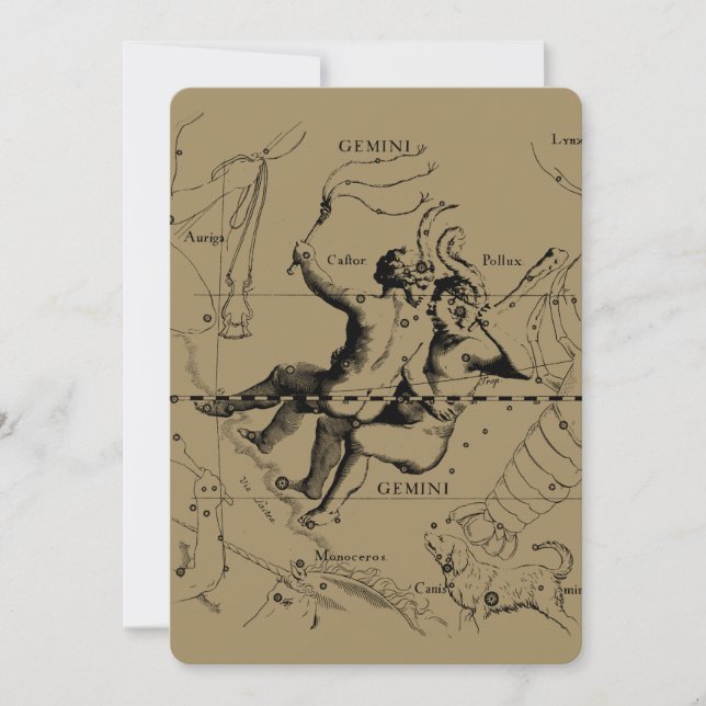 Gemini Constellation Map Hevelius circa 1690 (Vorderseite)