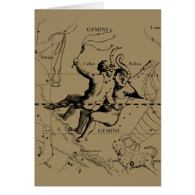 Gemini Constellation Map Hevelius circa 1690 (Vorne)