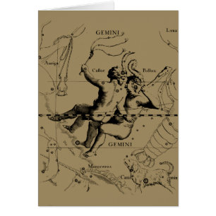 Gemini Constellation Map Hevelius vers 1690