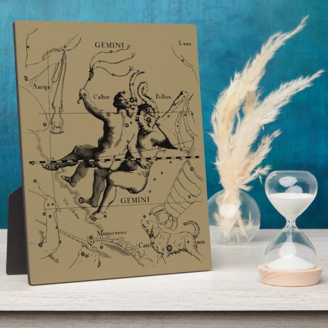 Gemini Constellation Zodiac Hevelius 1690 Fotoplatte (Seite)