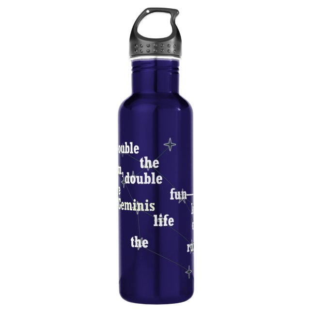Gemini Spaß & Inspirierend Design für Tagesgebrauc Edelstahlflasche (Vorderseite)