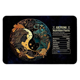 Gemini-thematischer Nährwert Magnet