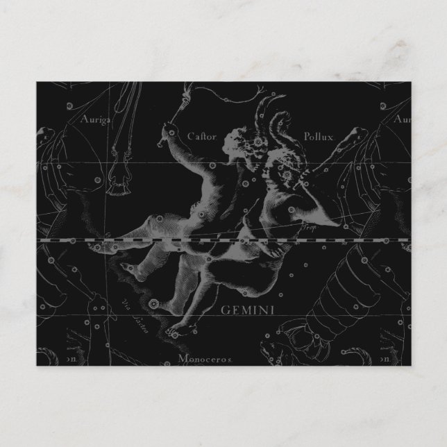 Gemini Zodiac Constellation Hevelius 1690 Postkarte (Vorderseite)