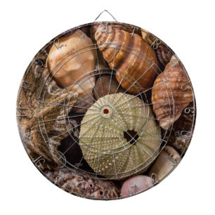 gemischte Muscheln Dart Board Dartscheibe