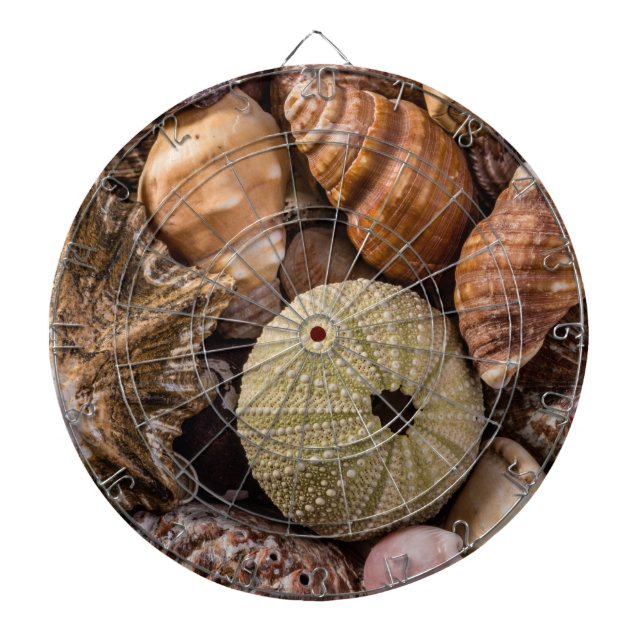 gemischte Muscheln Dart Board Dartscheibe (vorne)
