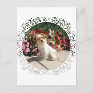 Gemischter Terrier-Rasse-Rettungshund Postkarte
