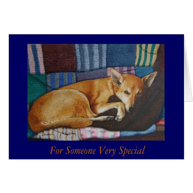 Gemischtrasse (Vorderseite (Horizontal))