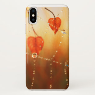 Gemmes d'un Coque de Galaxie du matin d'automne
