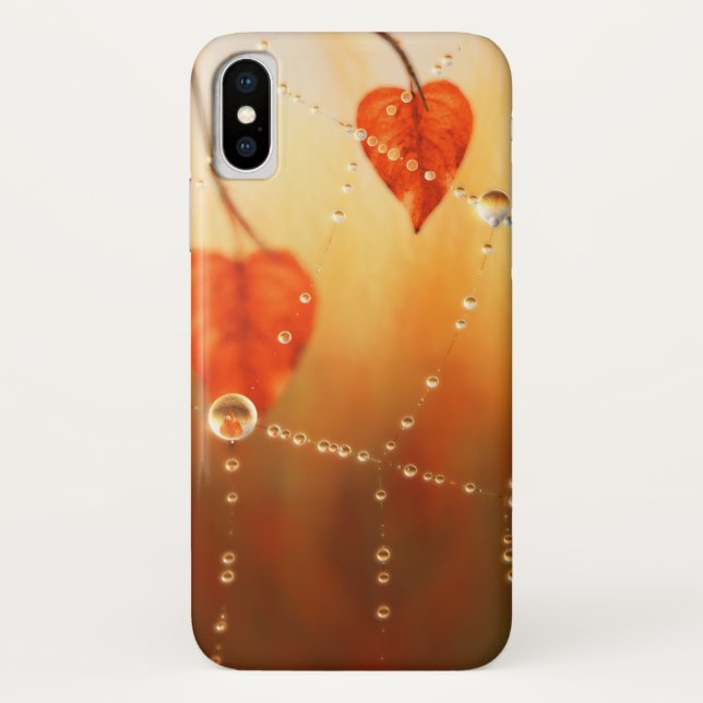 Gemmes d'un Coque de Galaxie du matin d'automne (Dos)