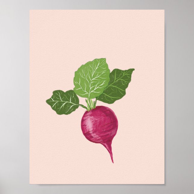 Gemüse-Wandkunst - Radieschen-Illustration Poster (Vorne)