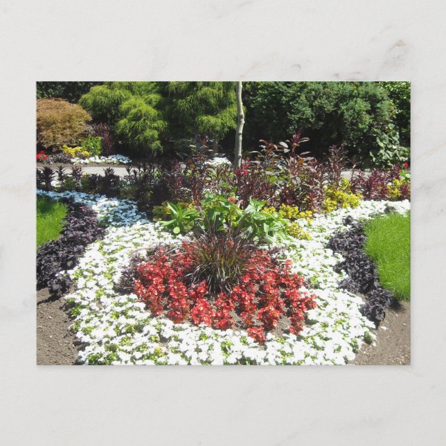 Gemüsegarten Postkarte (Vorderseite)