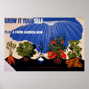 Gemüsegarten Vintage Poster