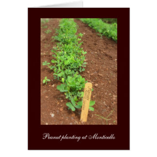 Gemüsegärten von Monticello