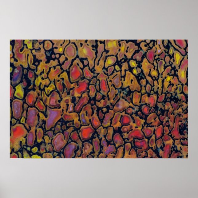 Gemusterter Dinosaurier Bone Poster (Vorne)