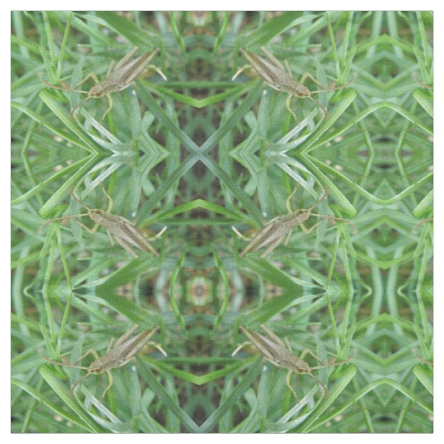 Gemustertes Handwerksmaterial für Grasshopper Stoff (Muster)