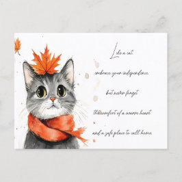Gemütliche Katze im Scaro Postkarte