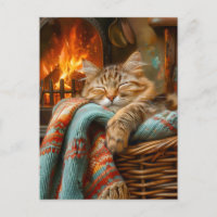 Gemütliche Katze schlafend im Korb am warmen Kamin