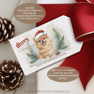 Gemütliche Pomeranian Weihnachtsmannmütze Weihnach Geschenkanhänger