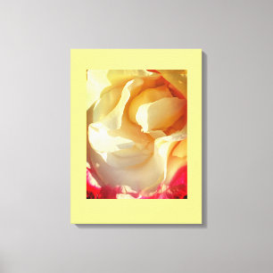 Gemütliche Rose Canvas Print Leinwanddruck