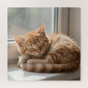 Gemütliche rote Katze sonnt sich im Nickerchen