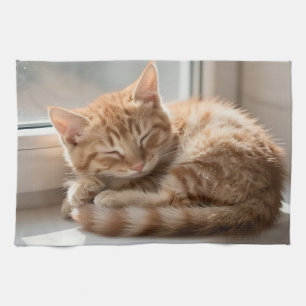 Gemütliche rote Katze sonnt sich im Nickerchen Geschirrtuch