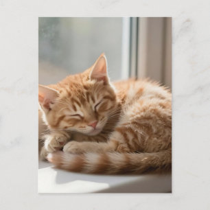 Gemütliche rote Katze sonnt sich im Nickerchen Postkarte