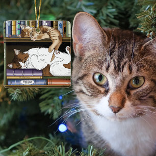 Gemütliche schlafende Katzen Bücherregal Illustrat Keramikornament
