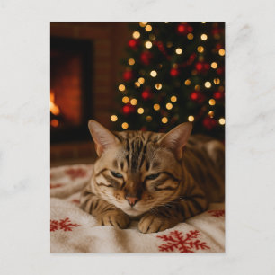 Gemütliche Weihnachtskatze Grußkarte Bengalkatze K Postkarte