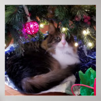 Gemütliche Weihnachtskatze unter einem Baum