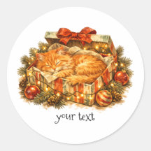 Gemütliche Weihnachtsorange Katze Schlafgeschenkbo