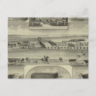 Gemütliche Zuchtfarm, Kolonie, Kansas Postkarte