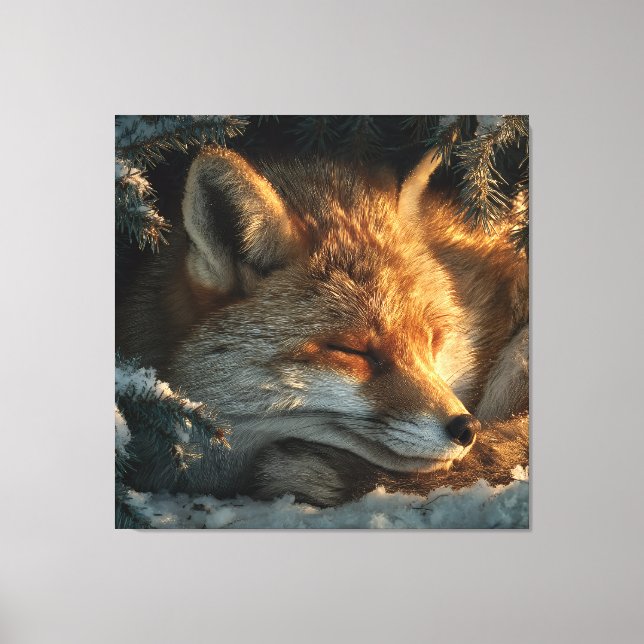 Gemütlicher Fuchs im Schnee Leinwanddruck (Vorderseite)