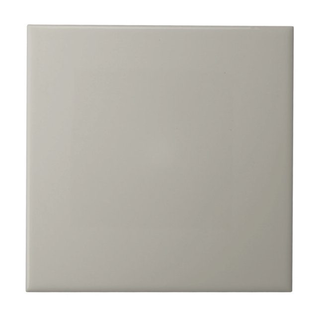Gemütlicher Gray Square Küche und Badezimmer Fliese (Vorderseite)