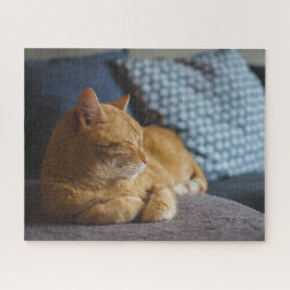 Gemütlicher Ingwerkatze