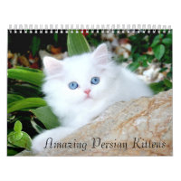 Gemütlicher Kätzchen-Kalender