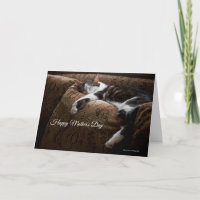 Gemütlicher Schlaf Buddy Cat Mother Day Card