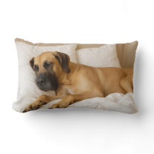 Gemütliches Great Dane Lumbar Kissen