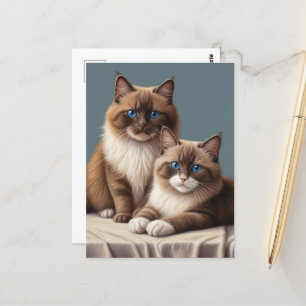 Gemütliches Paar Ragdoll Katzen Fluffy Haustier Ar Postkarte