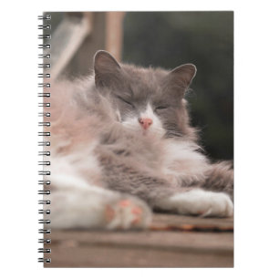 Gemütliches Schlafendes Fluffiges Katzen Notizbuch Notizblock