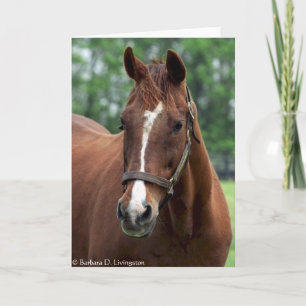 Genau so porträtiert karte