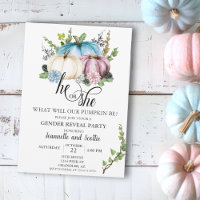 Gender Reveal Pumpkin Pink Blauer Herbst