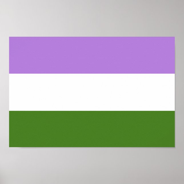 Genderqueer Pride Flag Poster (Vorne)