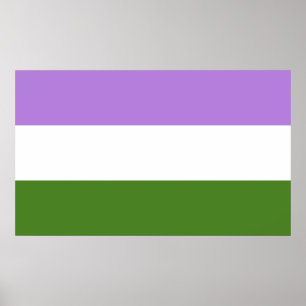 Genderqueer-Stolzflagge Poster