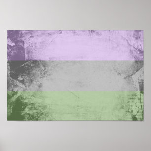 Genderqueer-Stolzflagge Poster