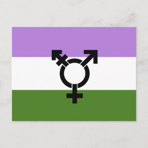 Genderqueer-Stolzflagge Postkarte